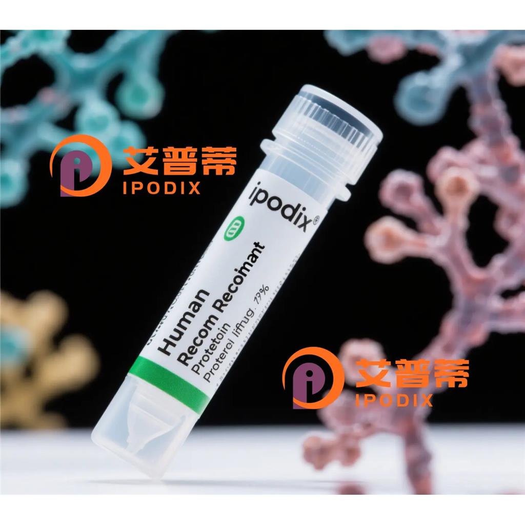 KID抗体,Mouse Monoclonal KID Antibody