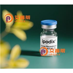 PAWR抗體,Rabbit Polyclonal PAWR Antibody
