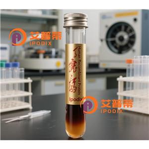 TRAF7抗体,Rabbit Polyclonal TRAF7 Antibody