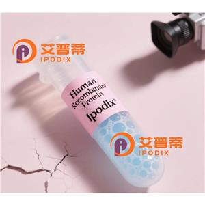 PDCD1抗体
