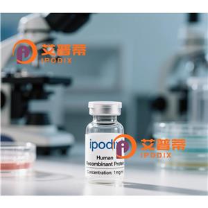 SCN1A抗体,Rabbit Polyclonal SCN1A Antibody