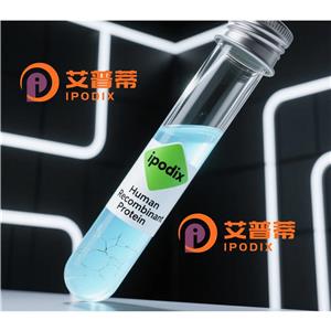 SCN1A抗体,Rabbit Polyclonal SCN1A Antibody