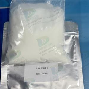 雷帕霉素；西罗莫司