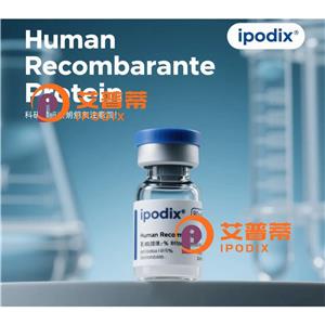 ADHFE1抗體,Rabbit Polyclonal ADHFE1 Antibody