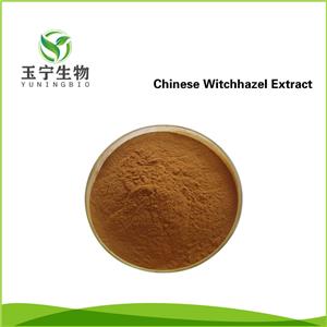 金縷梅提取物,Chinese Witchhazel Extract