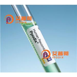 NR3C1抗體,Mouse Monoclonal NR3C1 Antibody