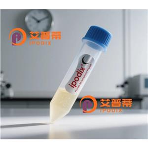 NR3C1抗體,Mouse Monoclonal NR3C1 Antibody