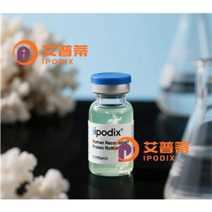 CTTN抗体,Mouse Monoclonal CTTN Antibody