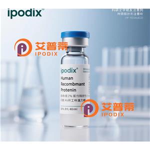 MAP3K5抗体,Mouse Monoclonal MAP3K5 Antibody