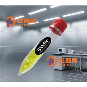 LMNA抗体,Mouse Monoclonal LMNA Antibody