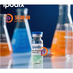 PHB抗体,Mouse Monoclonal PHB Antibody