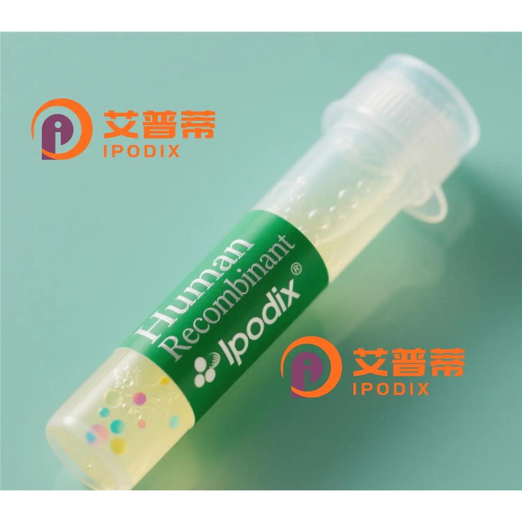 PTPN11抗體,Mouse Monoclonal PTPN11 Antibody