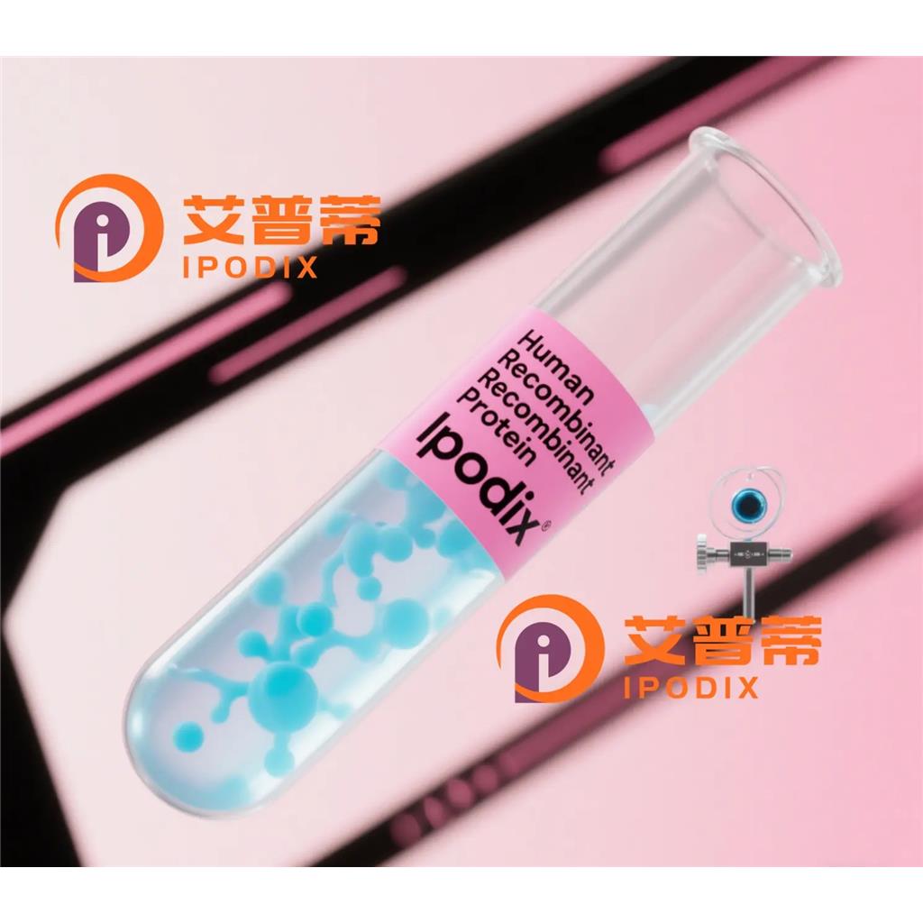SPP1抗體,Mouse Monoclonal SPP1 Antibody