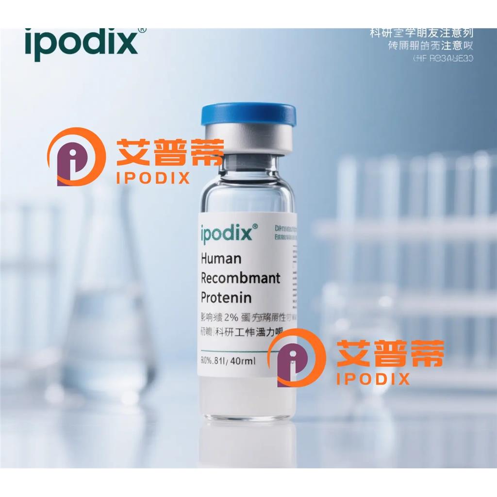 TUBE1抗体,Mouse Monoclonal TUBE1 Antibody