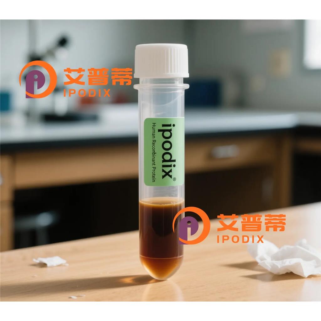 SEMAPHORIN-3A抗體,Mouse Monoclonal SEMAPHORIN-3A Antibody