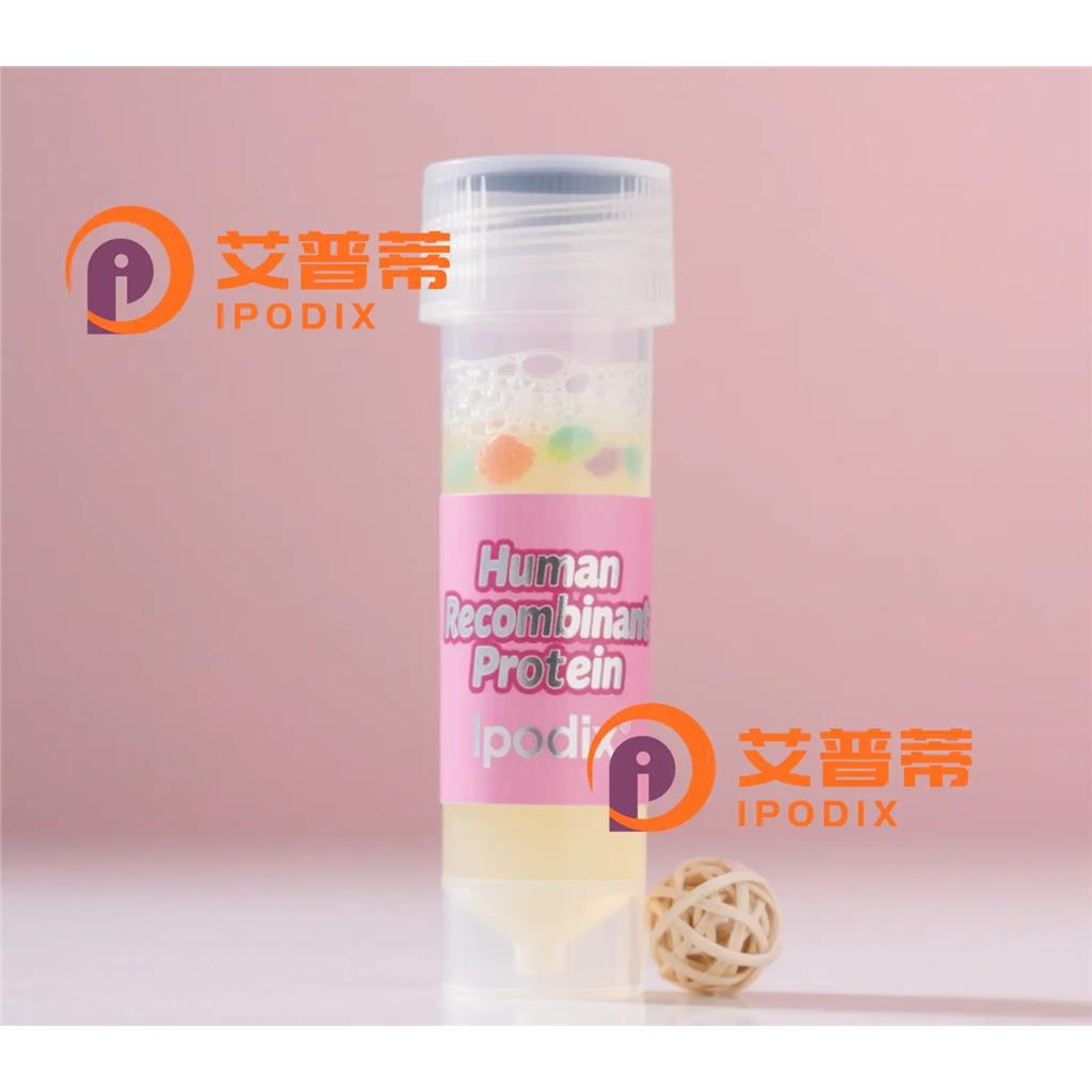 RALA抗體,Mouse Monoclonal RALA Antibody