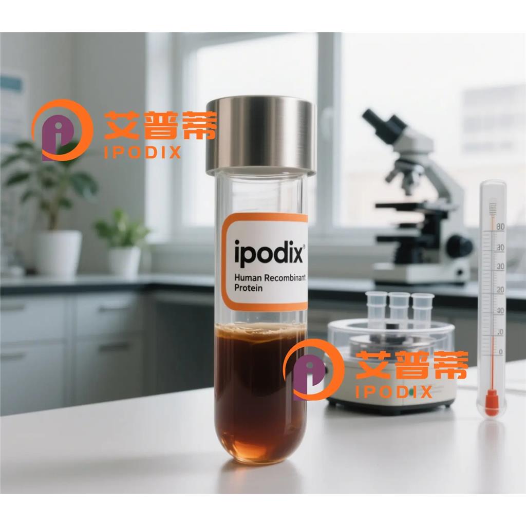 UCP2抗体,Mouse Monoclonal UCP2 Antibody