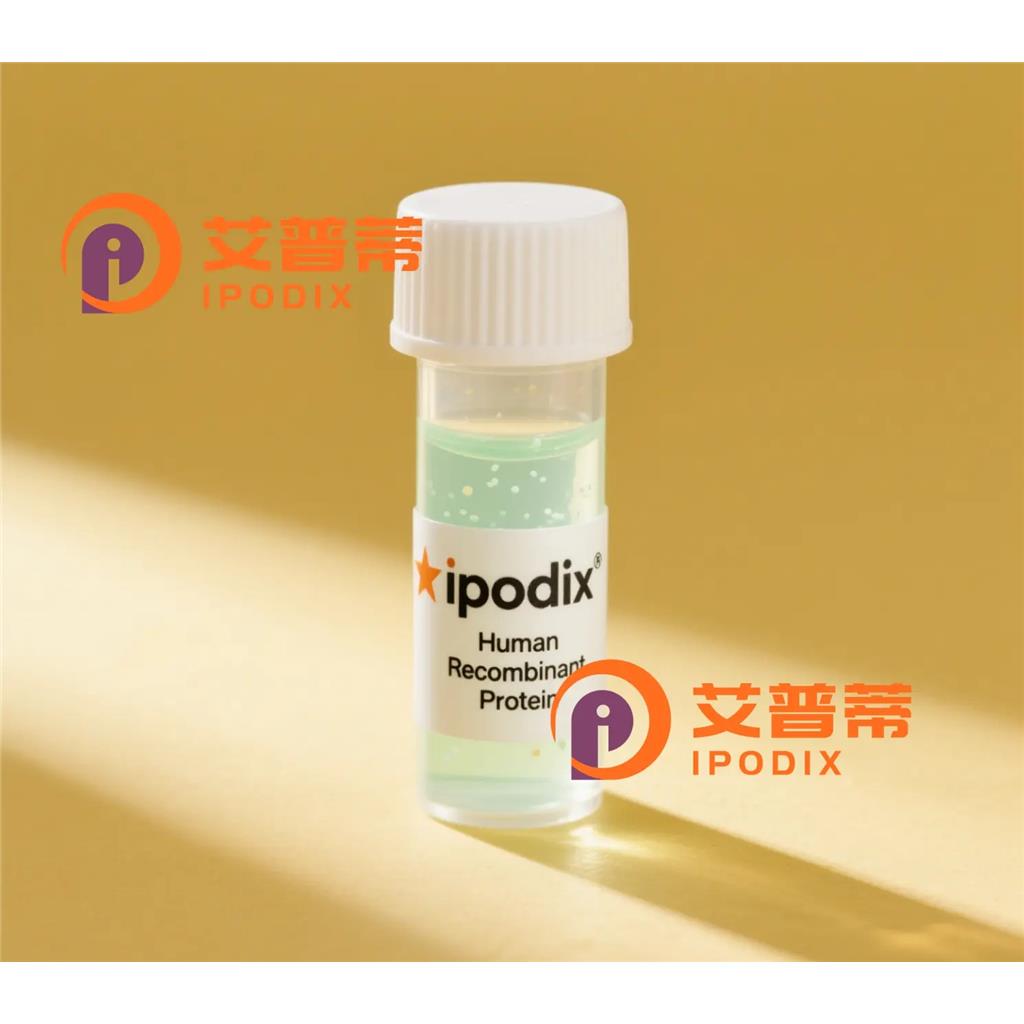 SOD2抗體,Mouse Monoclonal SOD2 Antibody