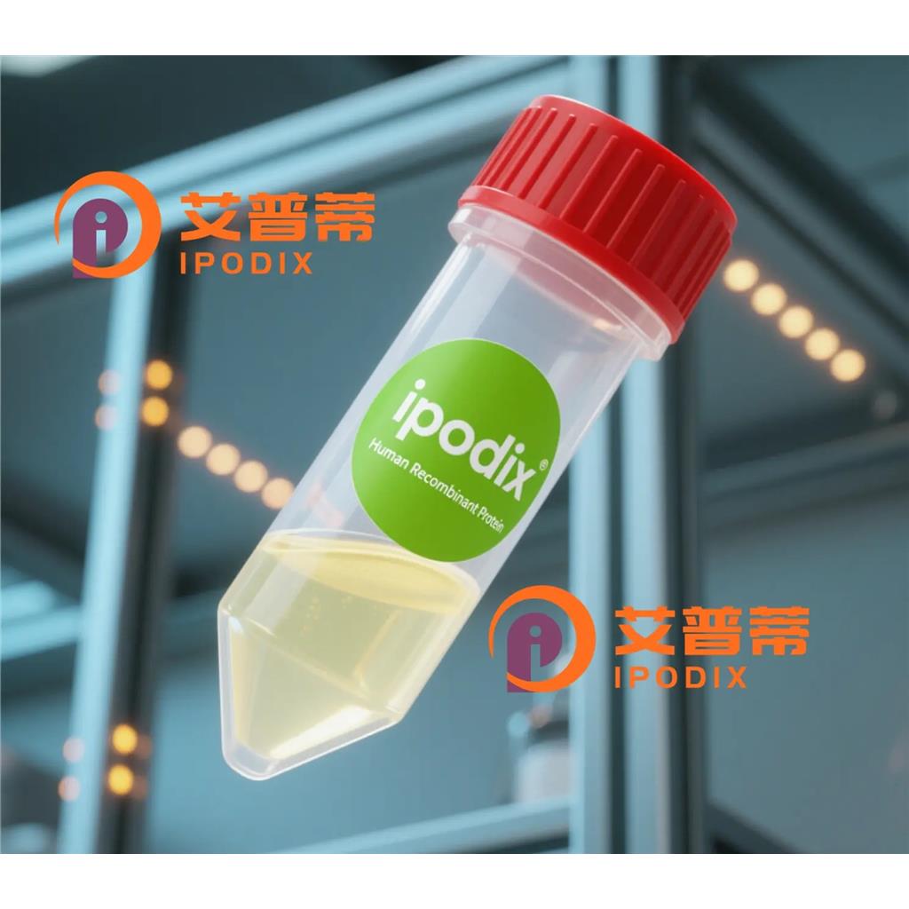 ADIPOQ抗體,Mouse Monoclonal ADIPOQ Antibody