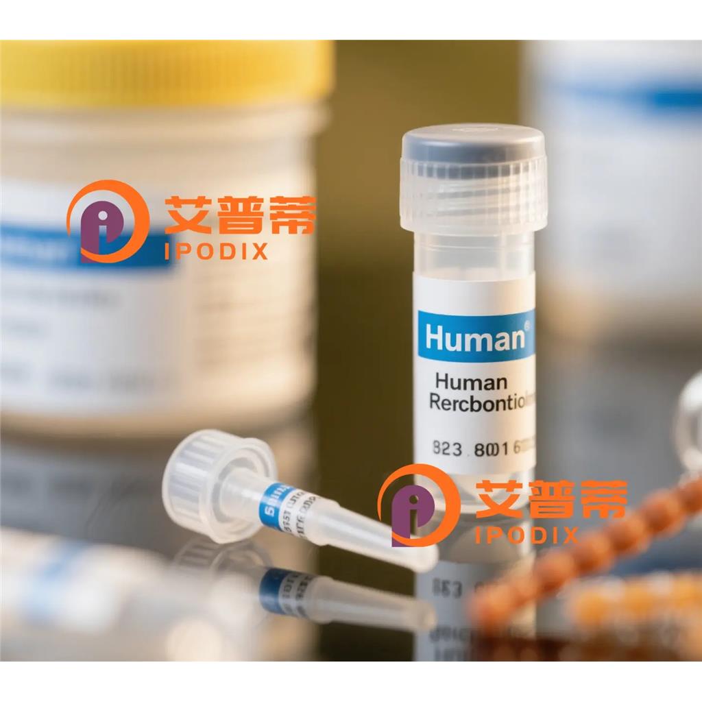 AP2M1抗體,Mouse Monoclonal AP2M1 Antibody