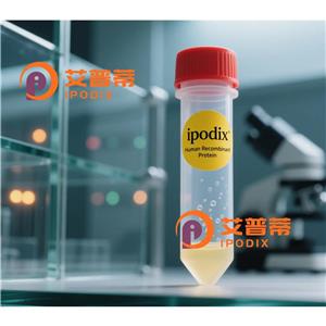 PTPN11抗體,Mouse Monoclonal PTPN11 Antibody