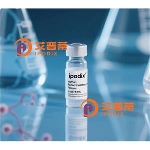 EIF2AK2抗体,Mouse Monoclonal EIF2AK2 Antibody