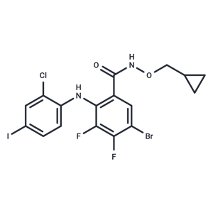化合物 PD 184161|T21635|TargetMol