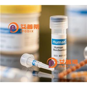 AP2M1抗體,Mouse Monoclonal AP2M1 Antibody