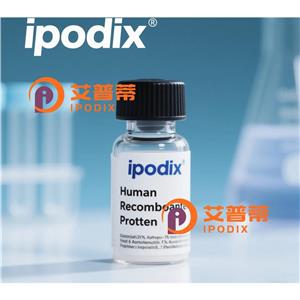 AP2M1抗體,Mouse Monoclonal AP2M1 Antibody