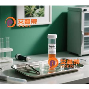 ADAP1抗体,Mouse Monoclonal ADAP1 Antibody