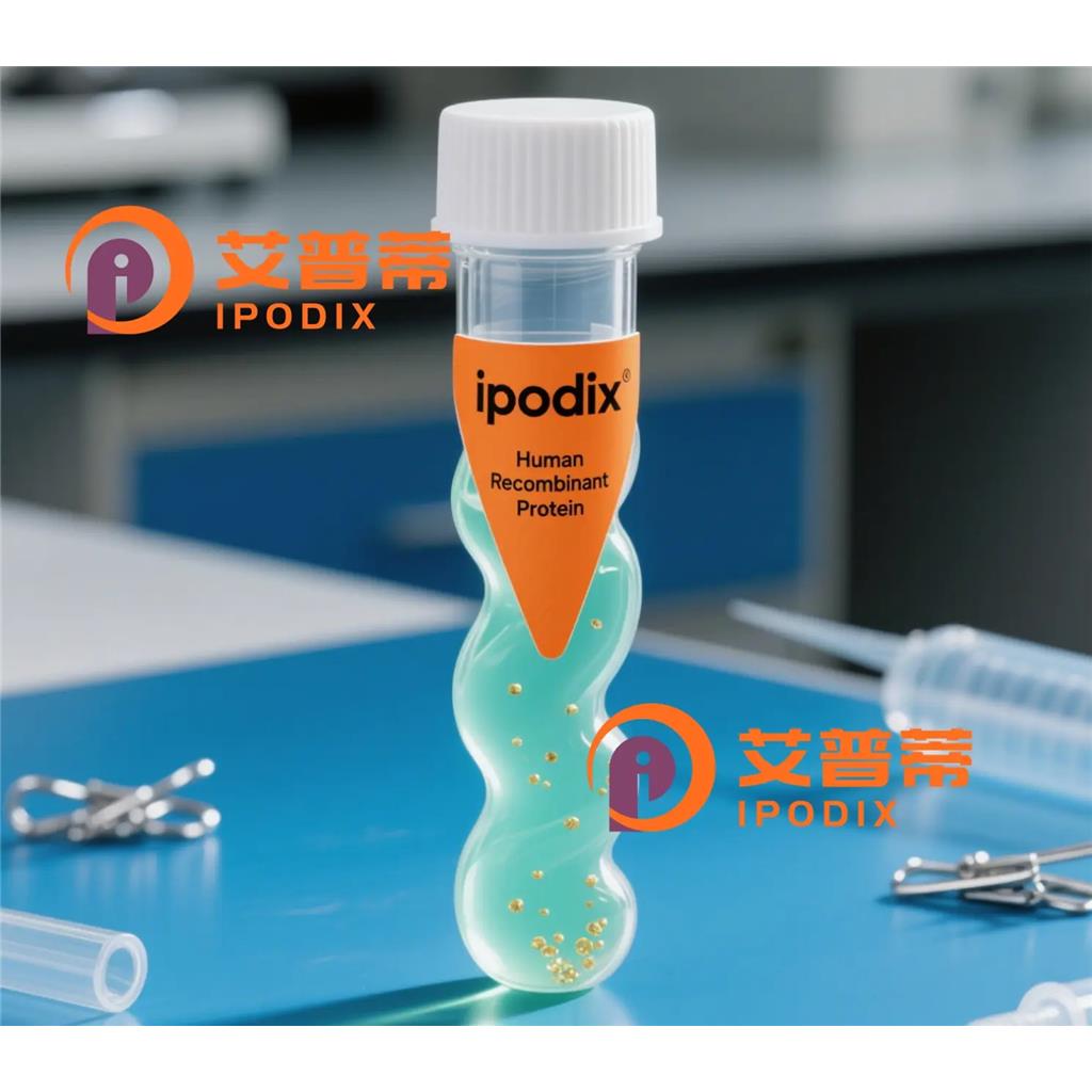 CAPN3抗体,Rabbit Polyclonal CAPN3 Antibody