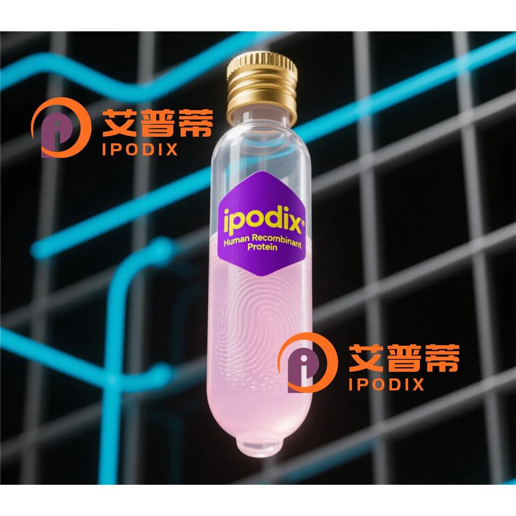 DAP抗體,Rabbit Polyclonal DAP Antibody