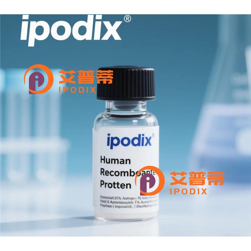 TBX22抗体,Rabbit Polyclonal TBX22 Antibody
