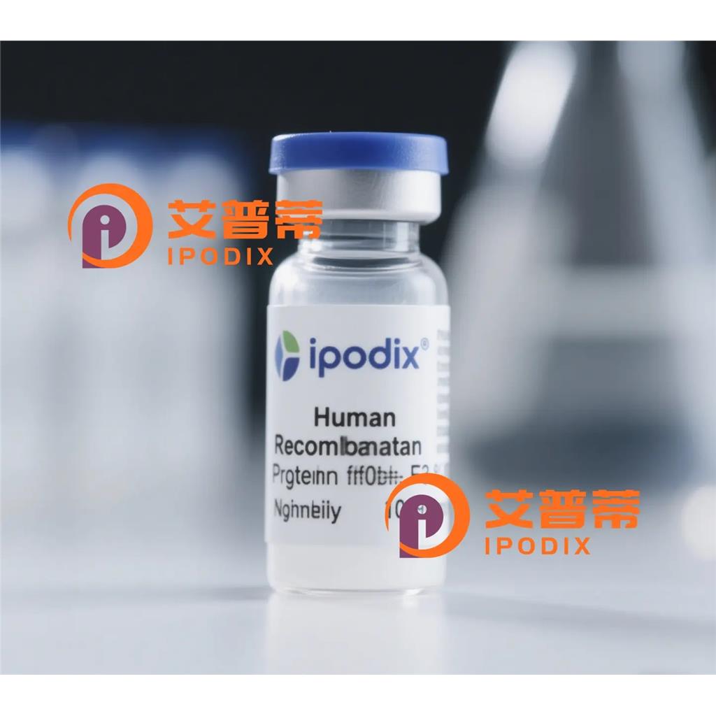 RCHY1抗体,Rabbit Polyclonal RCHY1 Antibody