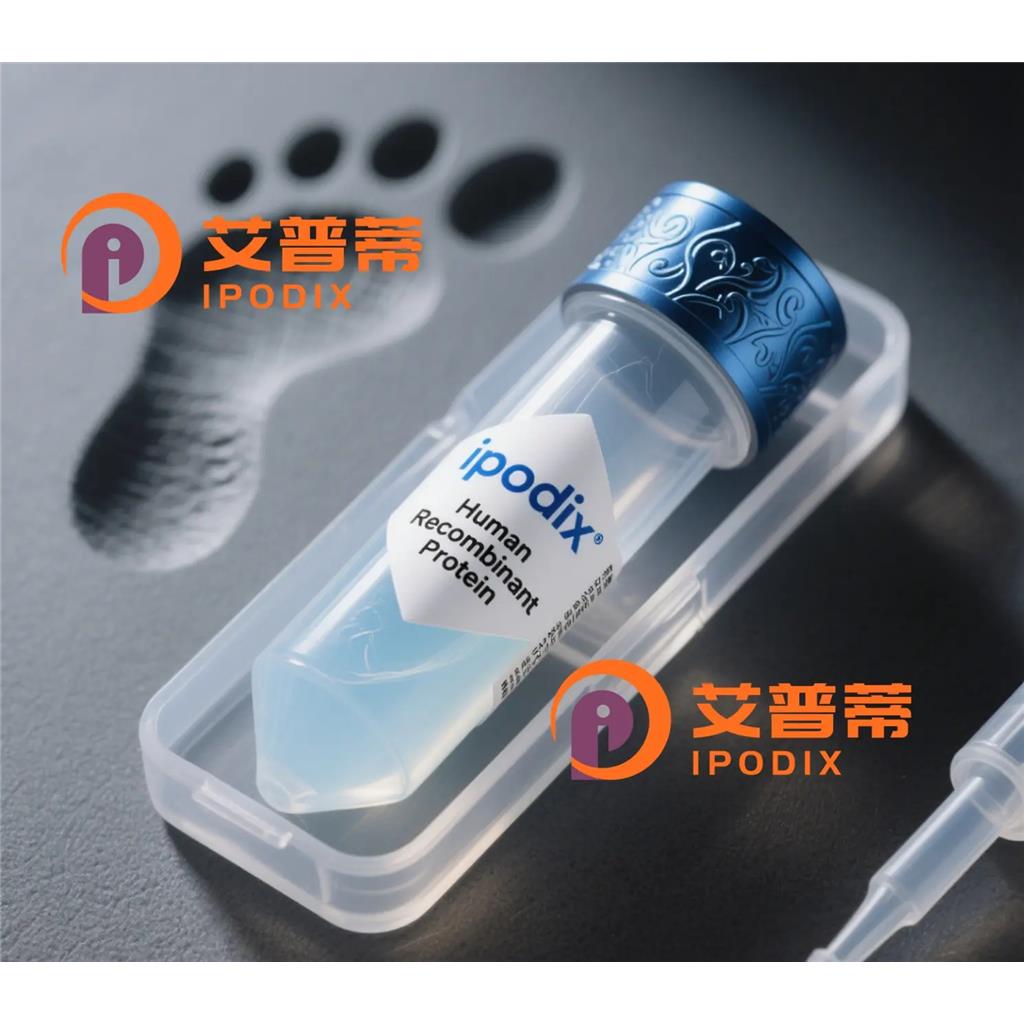 SFTPC抗體,Rabbit Polyclonal SFTPC Antibody