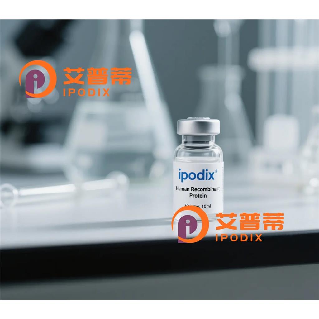 IFITM3抗体,Rabbit Polyclonal IFITM3 Antibody