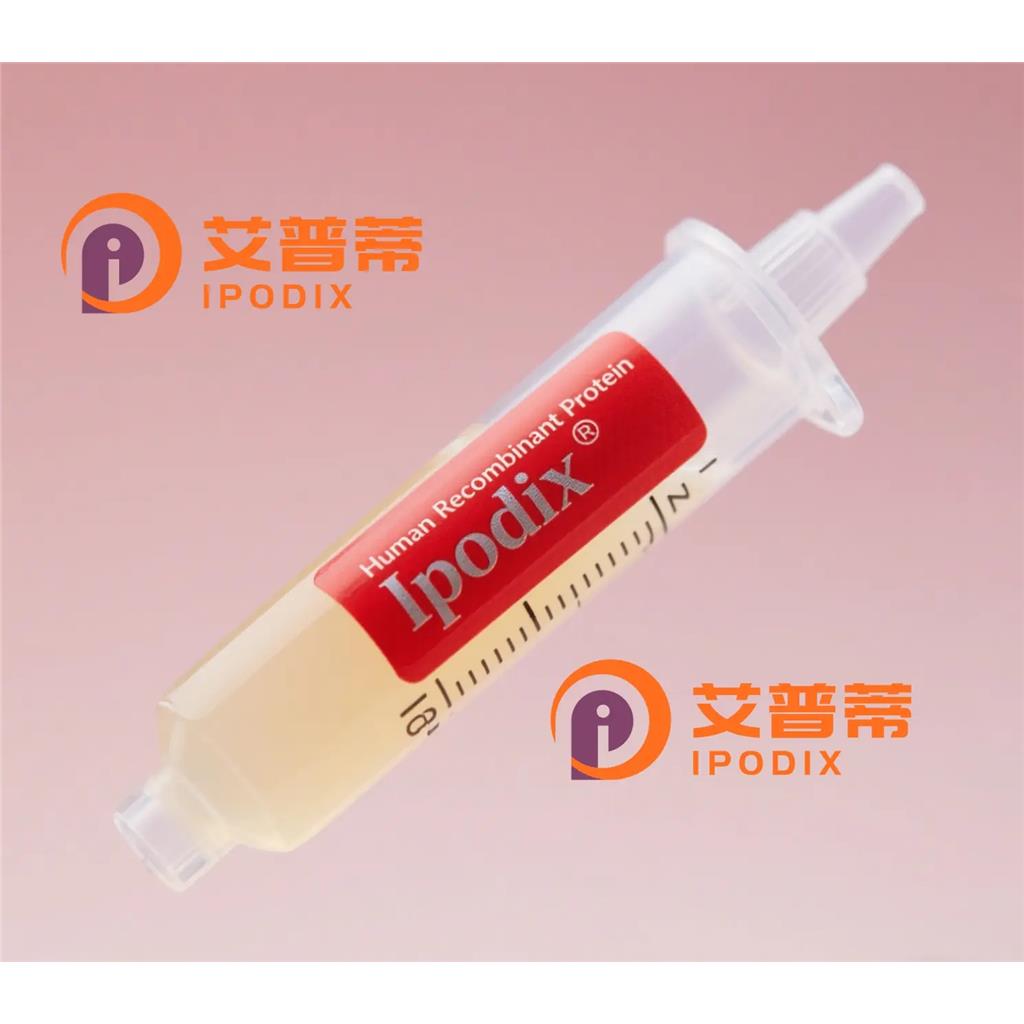 FAIM2抗体,Rabbit Polyclonal FAIM2 Antibody