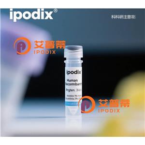 CAPN3抗体,Rabbit Polyclonal CAPN3 Antibody