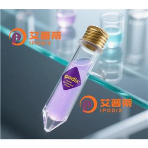 FOXS1抗體,Rabbit Polyclonal FOXS1 Antibody