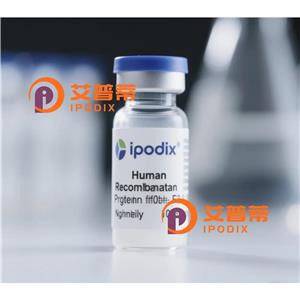 RCHY1抗体,Rabbit Polyclonal RCHY1 Antibody