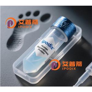 SFTPC抗體,Rabbit Polyclonal SFTPC Antibody