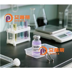 HIPK4抗体,Rabbit Polyclonal HIPK4 Antibody
