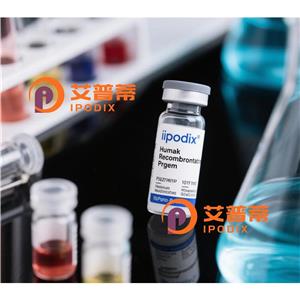 CYFIP2抗体,Rabbit Polyclonal CYFIP2 Antibody