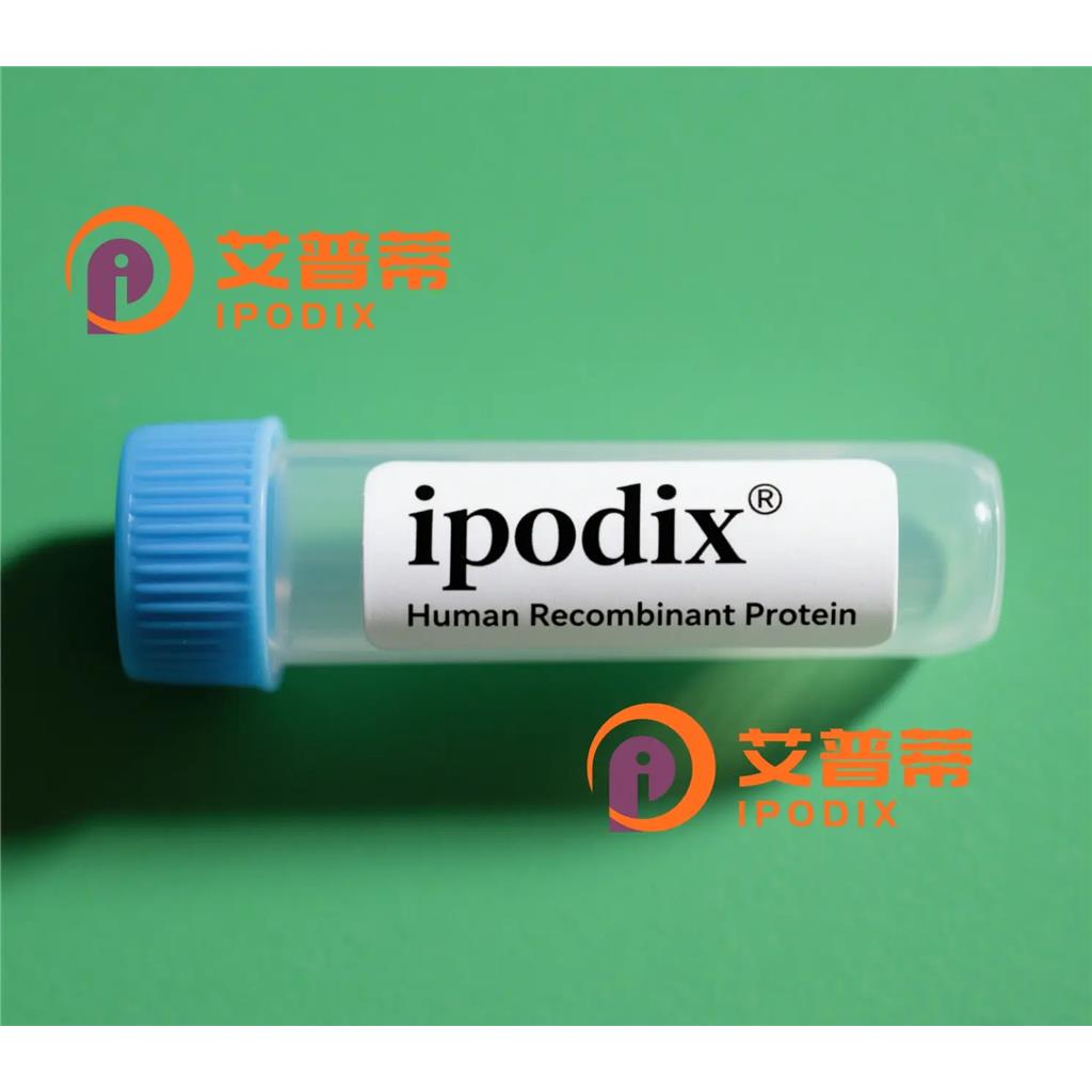 ITIH2抗体,Rabbit Polyclonal ITIH2 Antibody