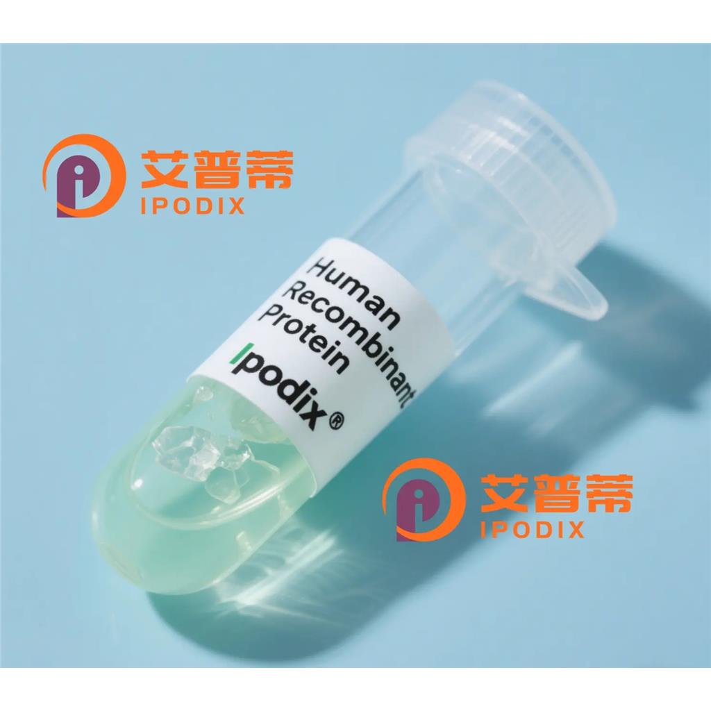 DOCK1抗体,Rabbit Polyclonal DOCK1 Antibody