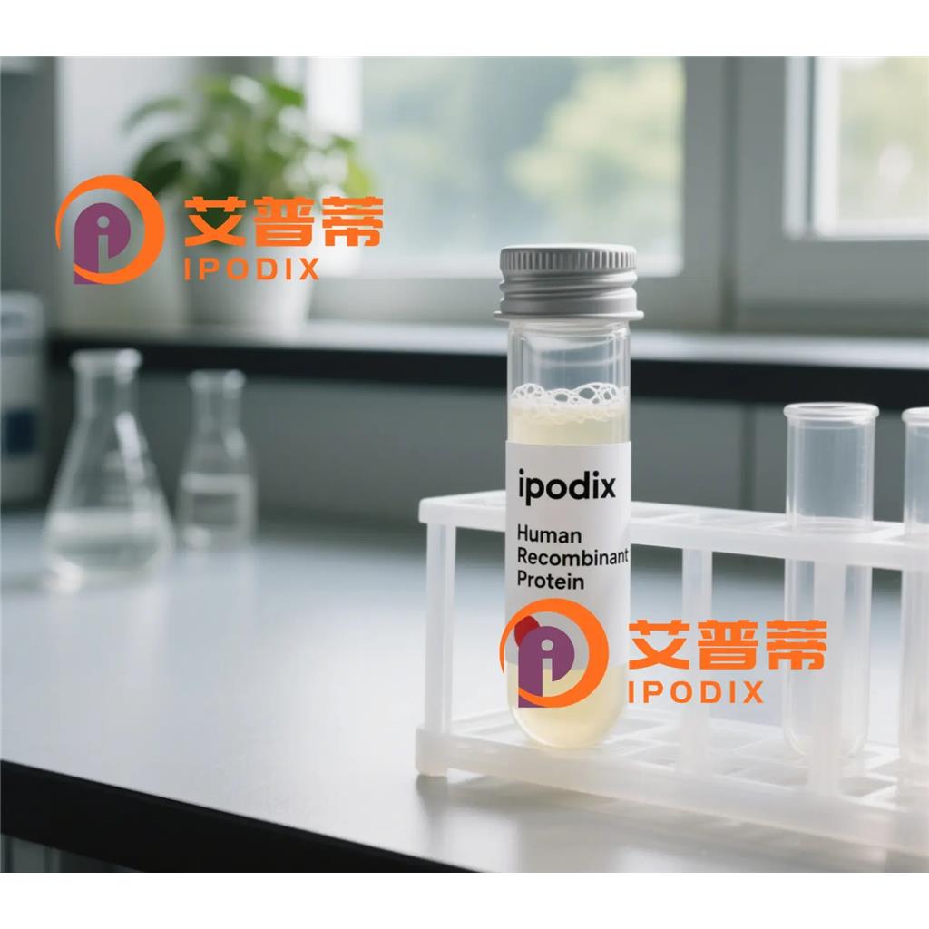 PNPT1抗体,Rabbit Polyclonal PNPT1 Antibody