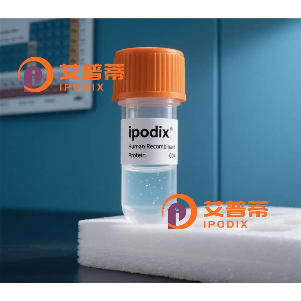 POU6F2抗體,Rabbit Polyclonal POU6F2 Antibody
