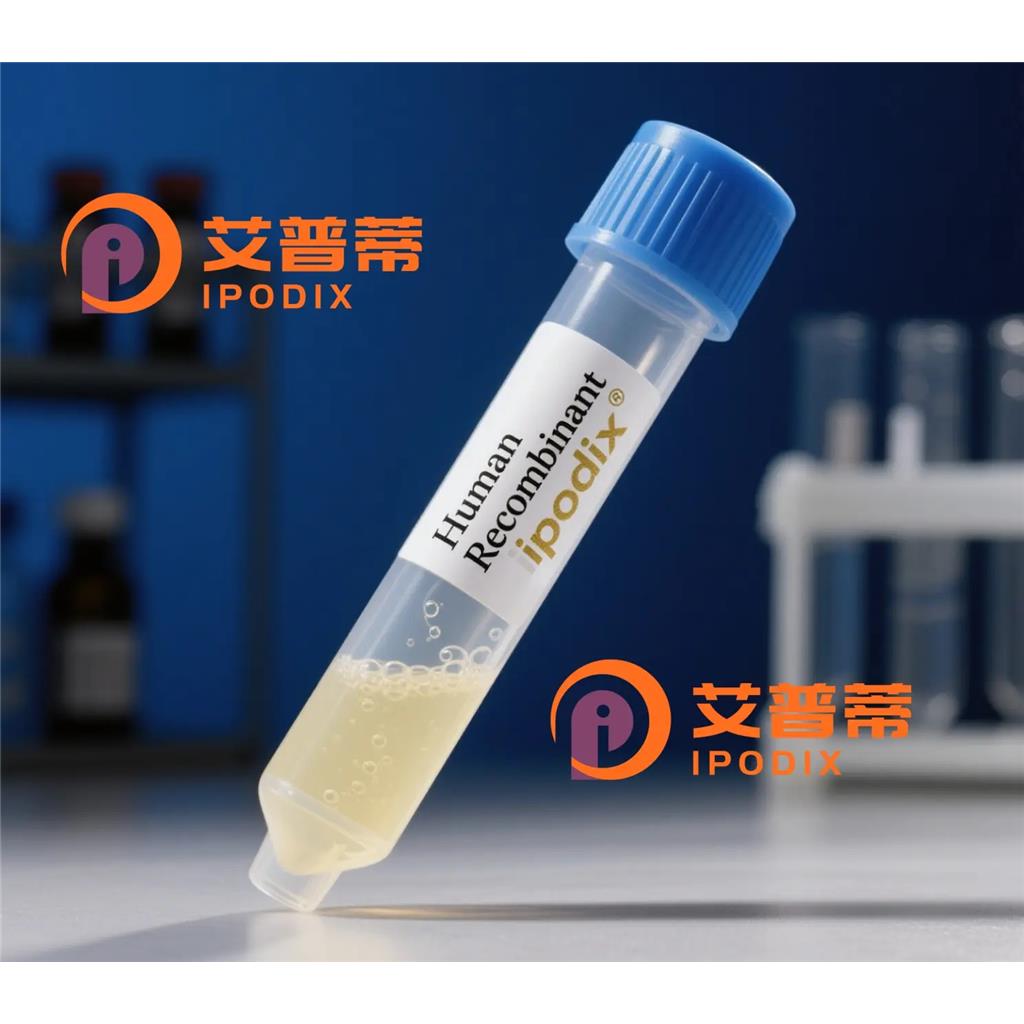 ABCC9抗体,Rabbit Polyclonal ABCC9 Antibody
