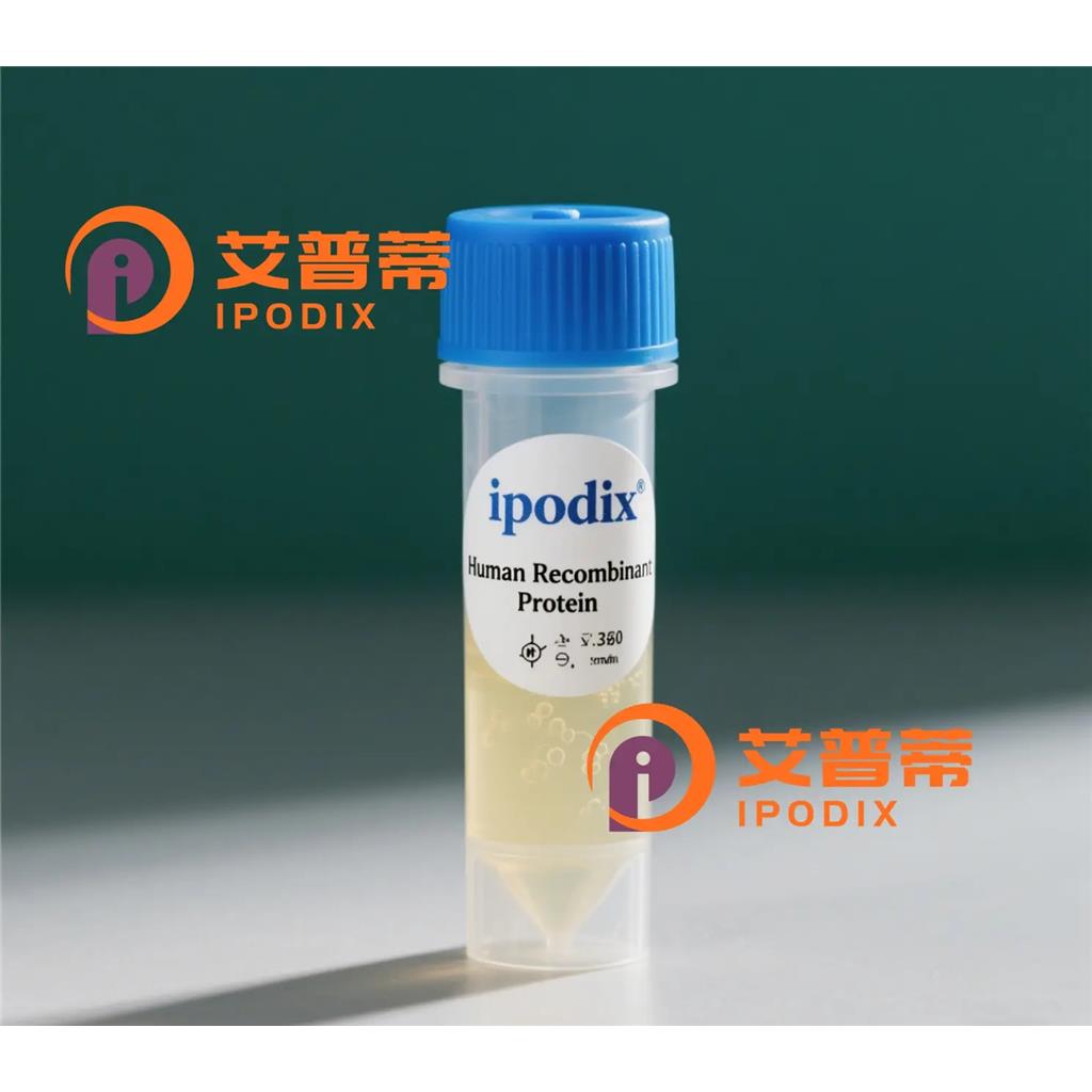 TRPM3抗体,Rabbit Polyclonal TRPM3 Antibody