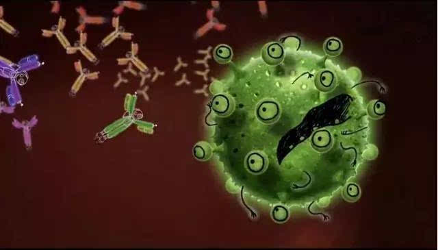 pTau-217抗體,Anti-human pTau217 antibody